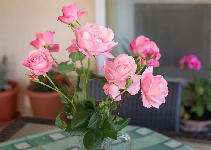 Apartment Timea